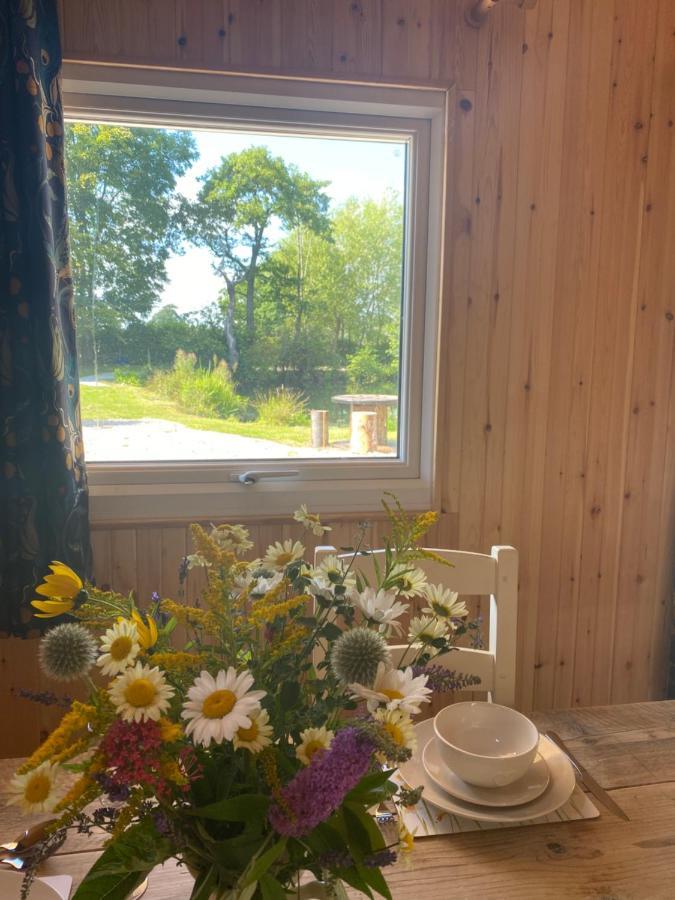 Kingfisher Cabin - Wild Escapes Wrenbury Off Grid Glamping - Ages 12 And Over Baddiley Buitenkant foto