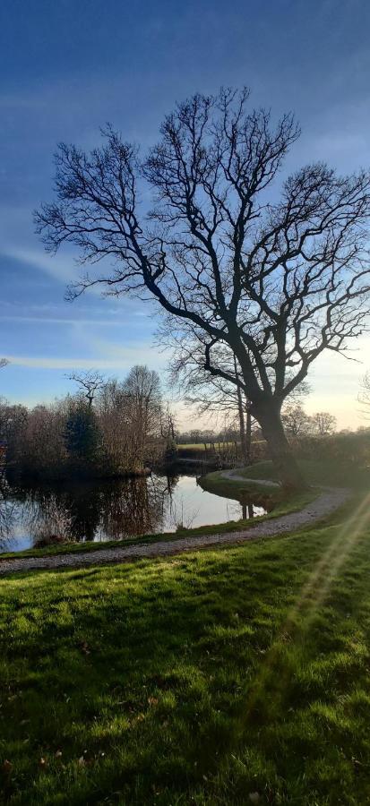 Kingfisher Cabin - Wild Escapes Wrenbury Off Grid Glamping - Ages 12 And Over Baddiley Buitenkant foto